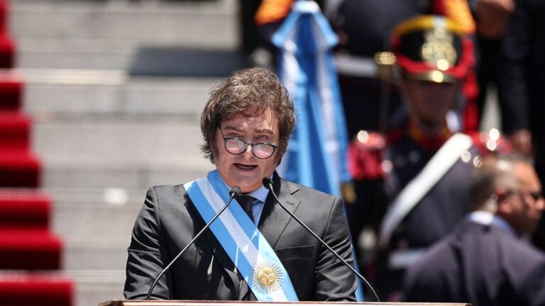 Los 100 primeros días de la gestión Milei: Imagen y perspectivas
